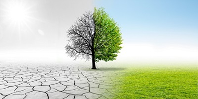 Lotta al cambiamento climatico